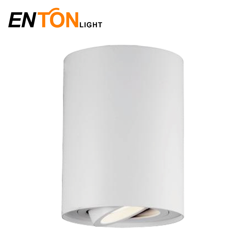 Surface Downlight Indoor Light Aluminum ETI0523R