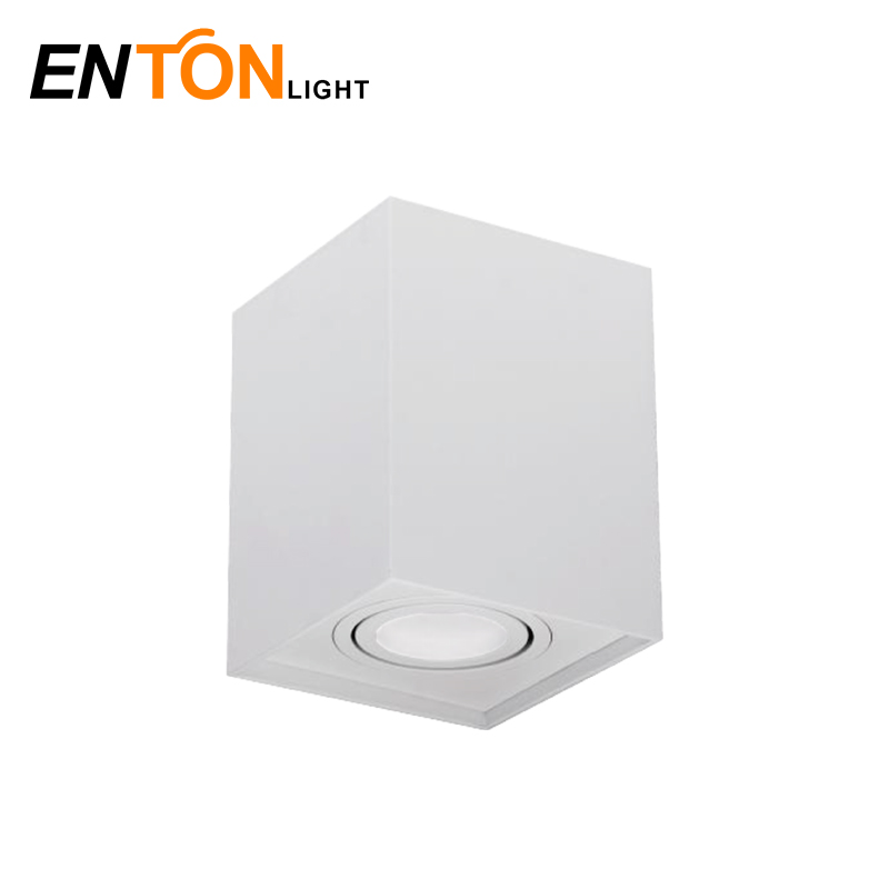 Surface Downlight Indoor Light Aluminum ETI0523S