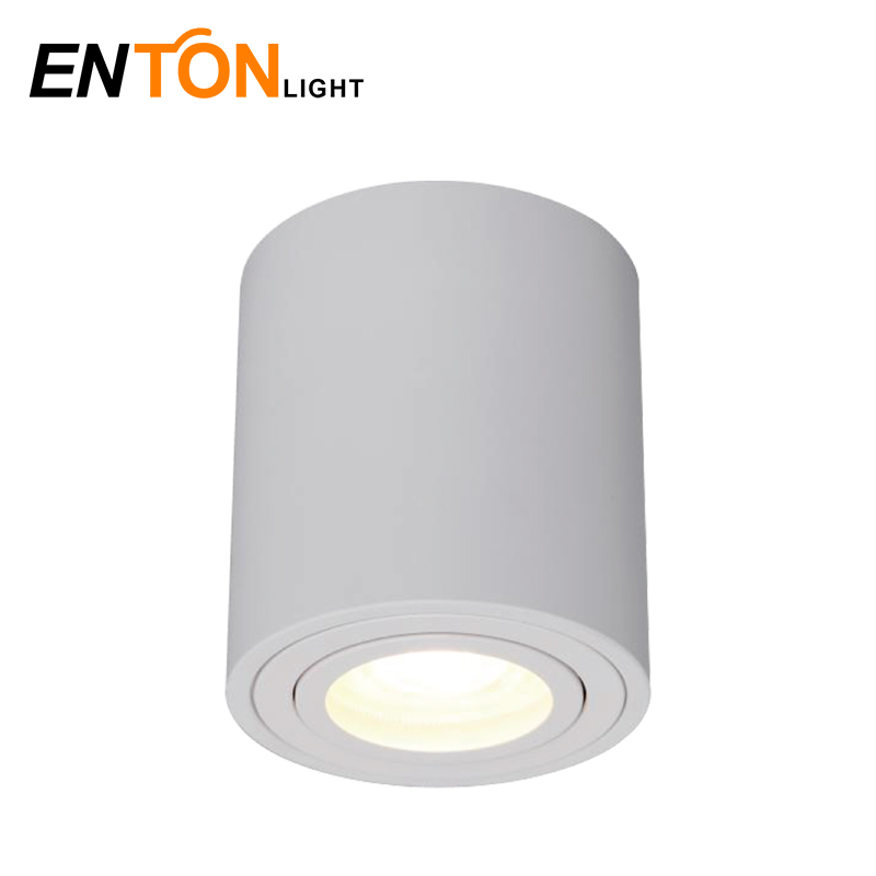 Surface Downlight Indoor Light Aluminum ETI0524R