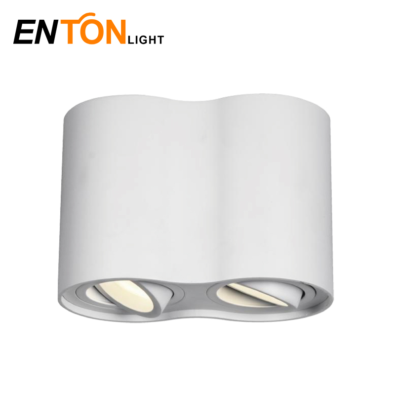 Surface Downlight Indoor Light Aluminum ETI0523R-2