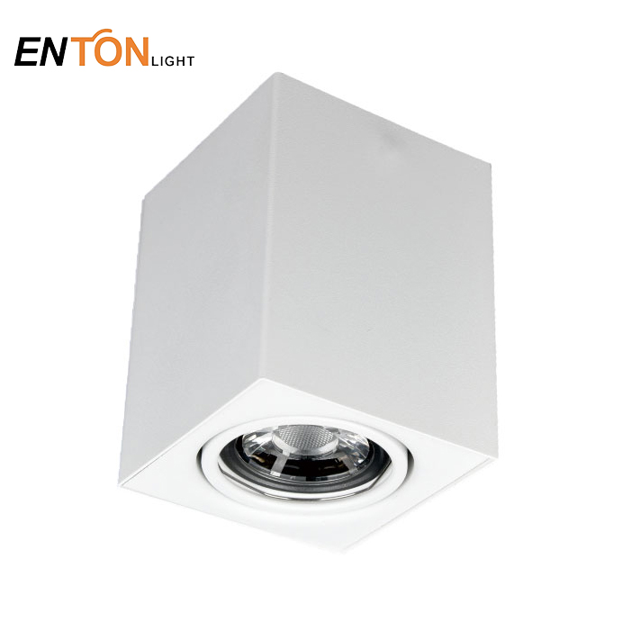 Surface Downlight Indoor Light Aluminum White GU10 ETI0505